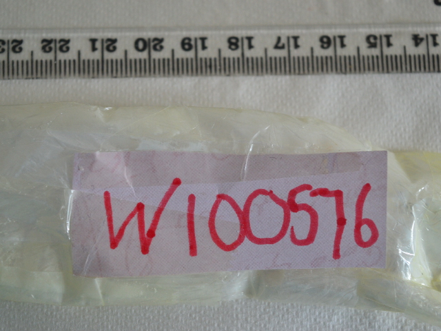 W100576