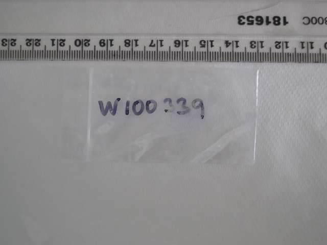 W100339