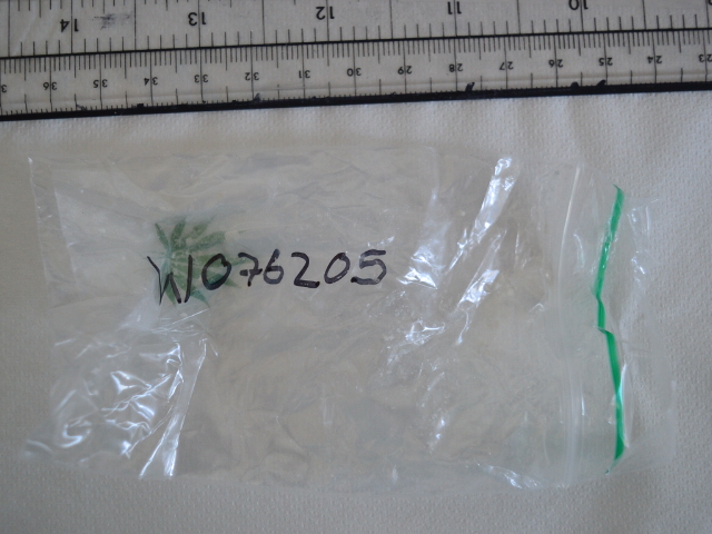 W076205