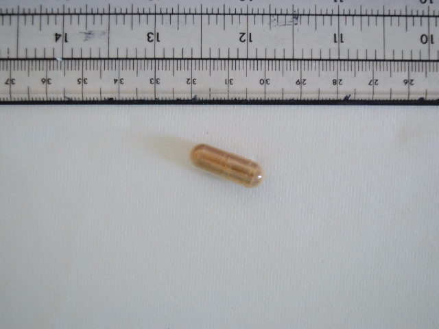 W100181