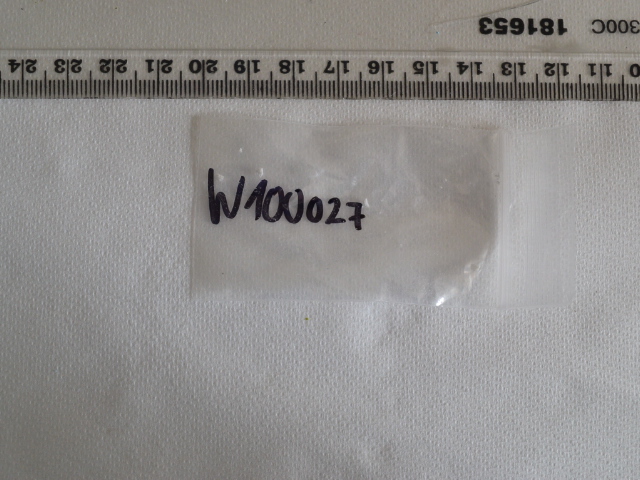 W100027