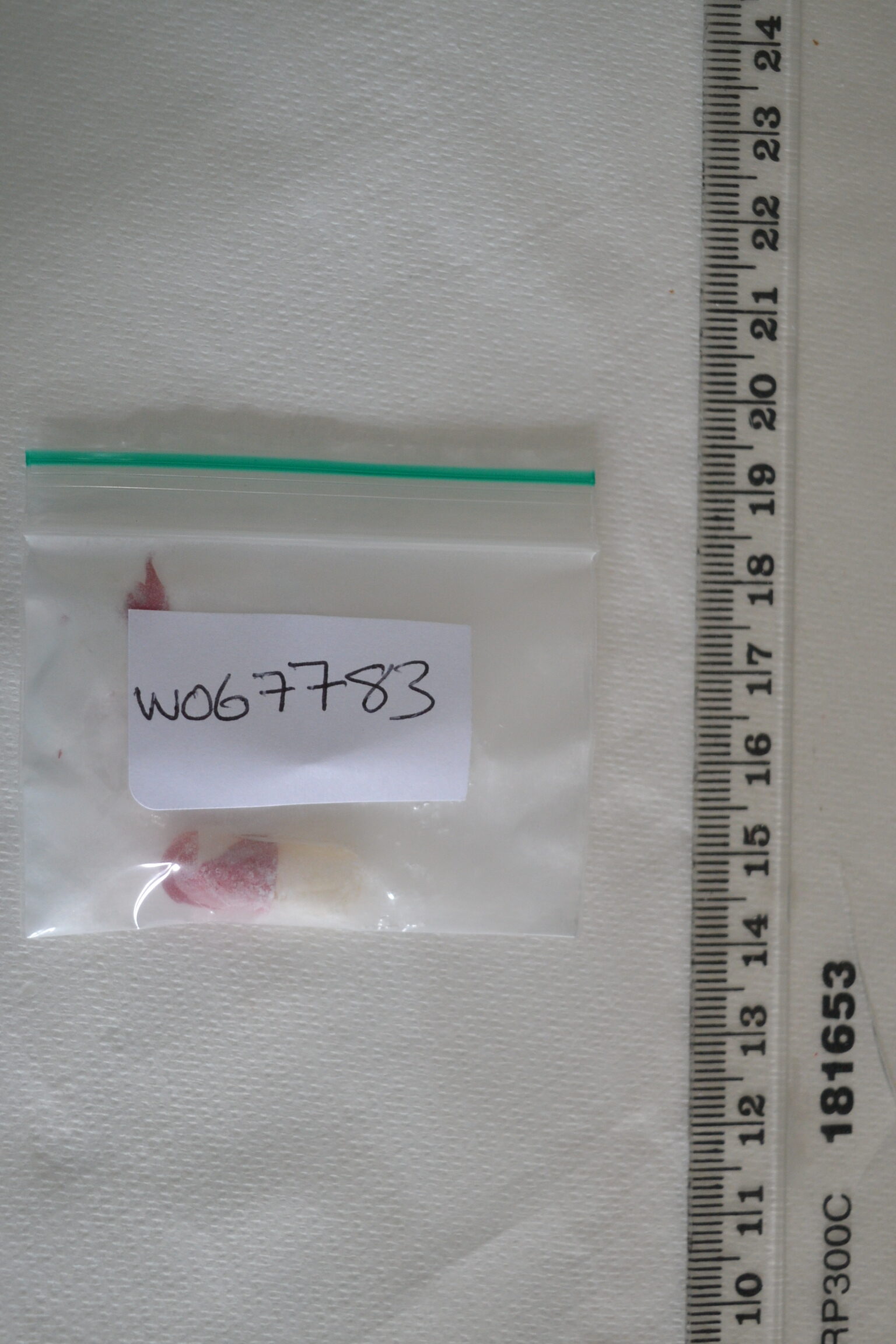 W067783