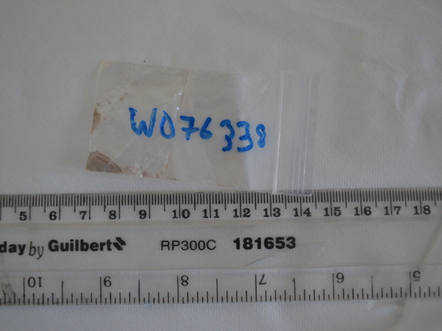 W076338