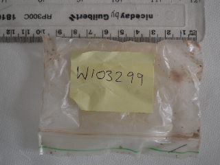 W103299