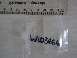 W103666