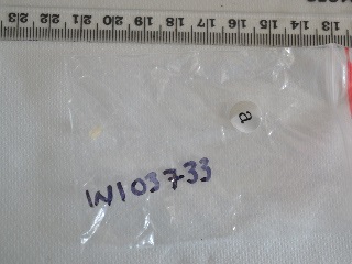 W103733