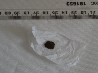 000239450