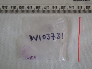 W103731