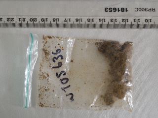 W105636