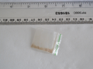 000240365
