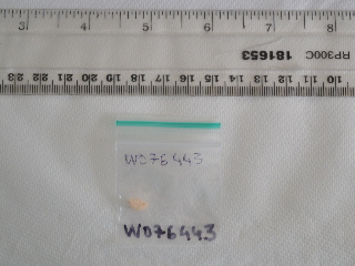 W076443