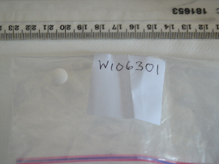 W106301
